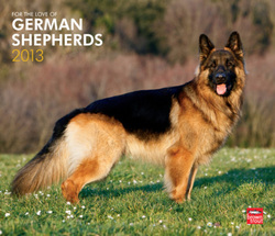 I love german shepherd dogs