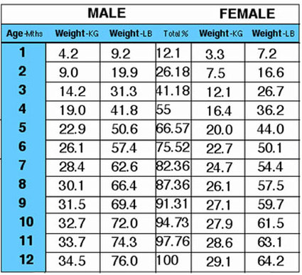 Weight Chart Based On Age